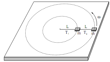 1140_force mc rotating two masses.png